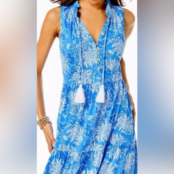 Lilly Pulitzer MALONE Maxi Dress M - Picture 4 of 12